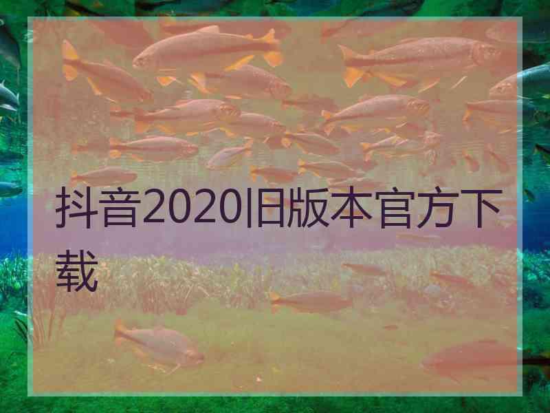 抖音2020旧版本官方下载