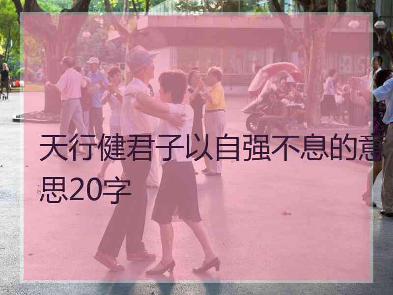 天行健君子以自强不息的意思20字