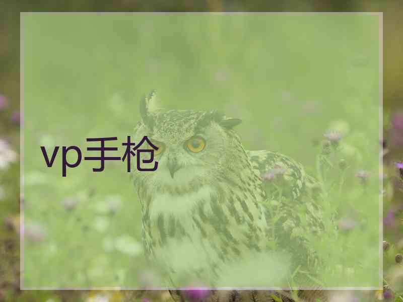 vp手枪