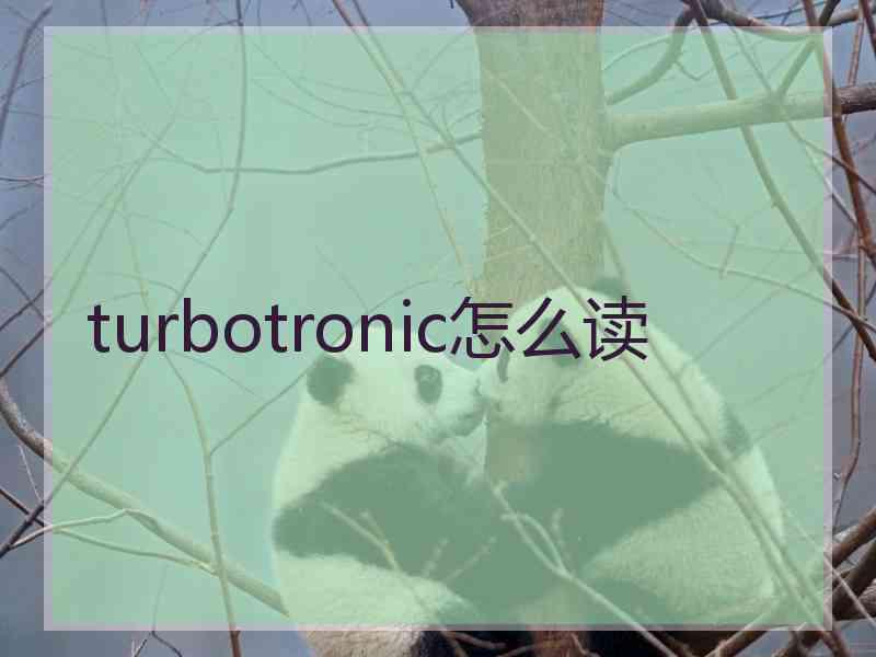 turbotronic怎么读