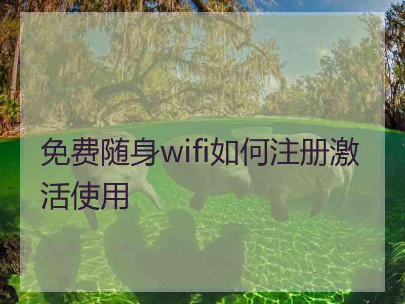 免费随身wifi如何注册激活使用