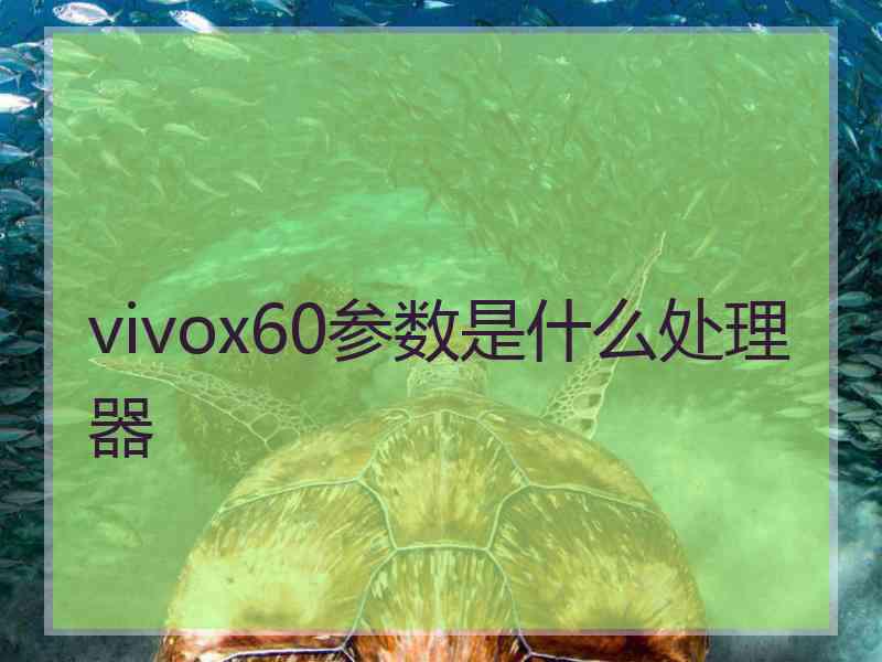 vivox60参数是什么处理器