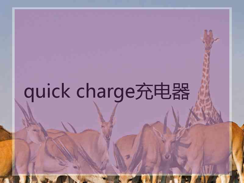 quick charge充电器