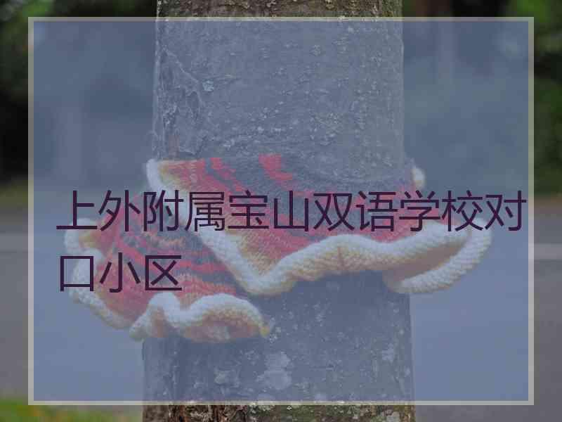 上外附属宝山双语学校对口小区