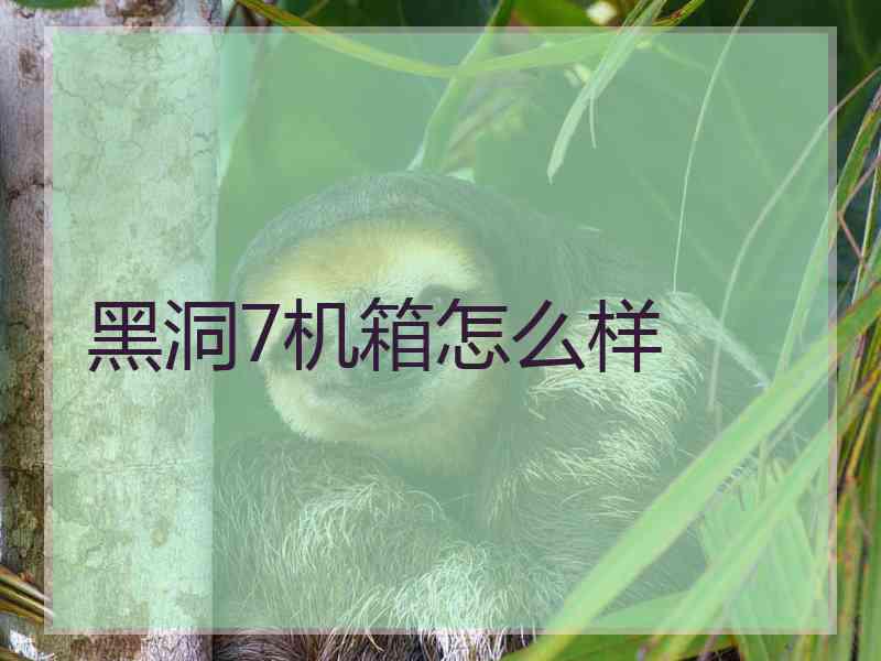 黑洞7机箱怎么样