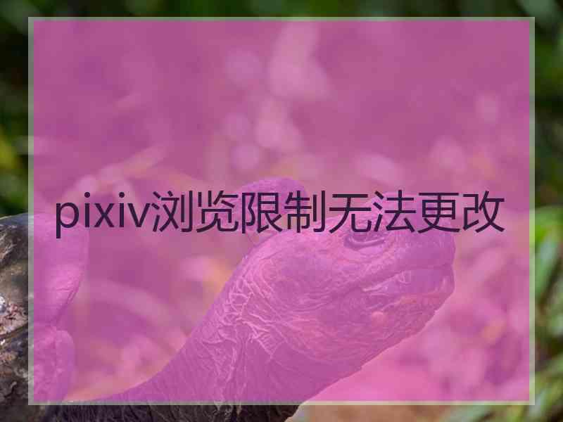 pixiv浏览限制无法更改