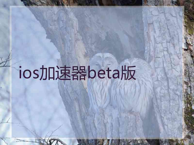 ios加速器beta版