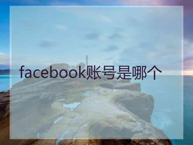 facebook账号是哪个