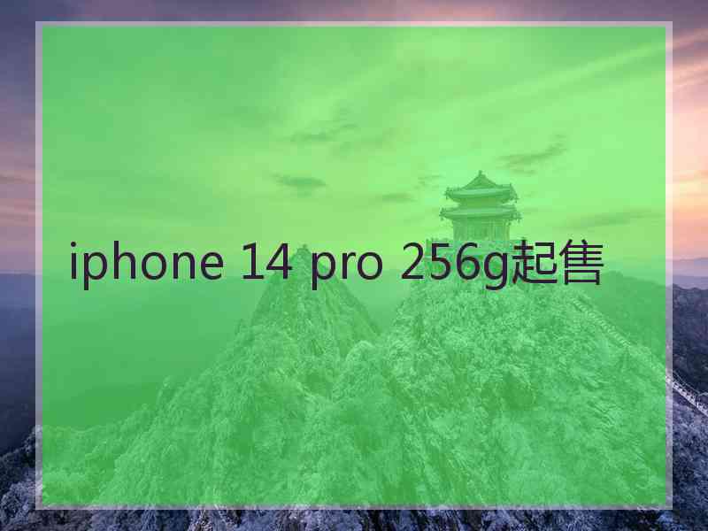 iphone 14 pro 256g起售