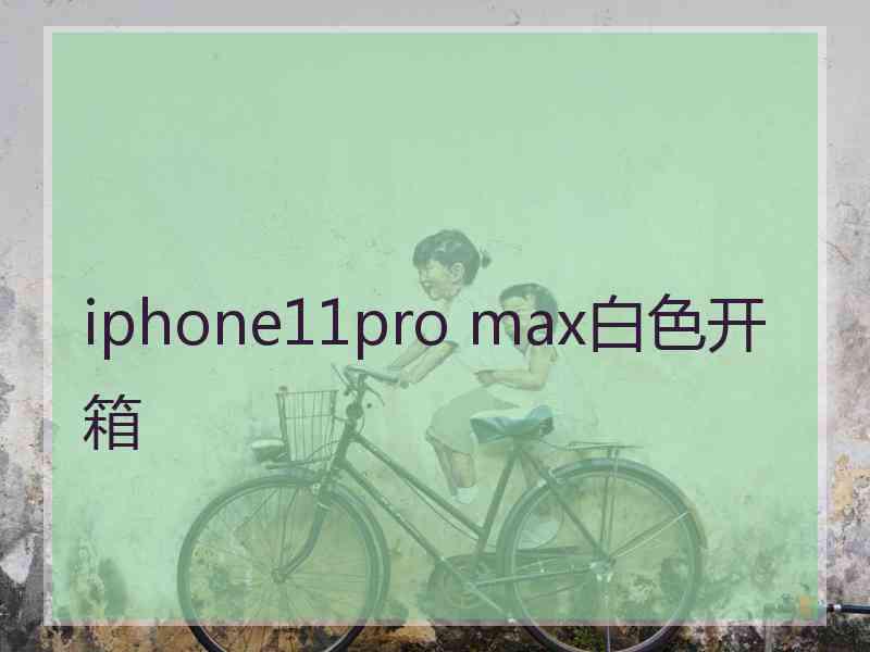 iphone11pro max白色开箱