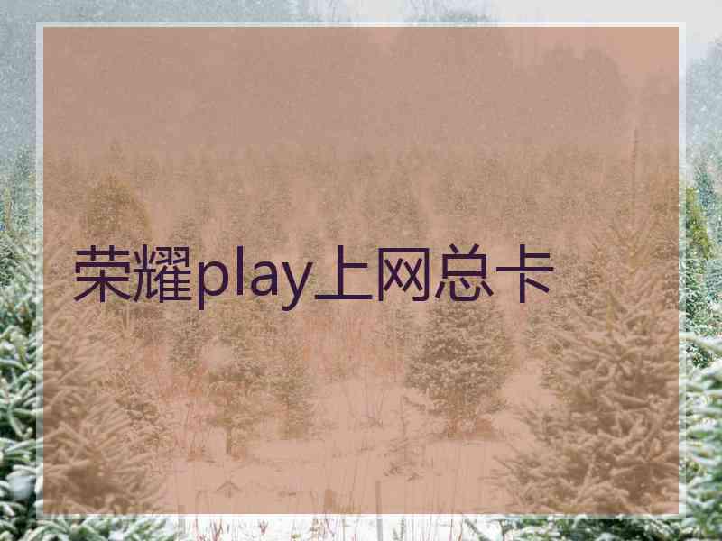 荣耀play上网总卡