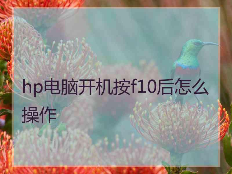 hp电脑开机按f10后怎么操作