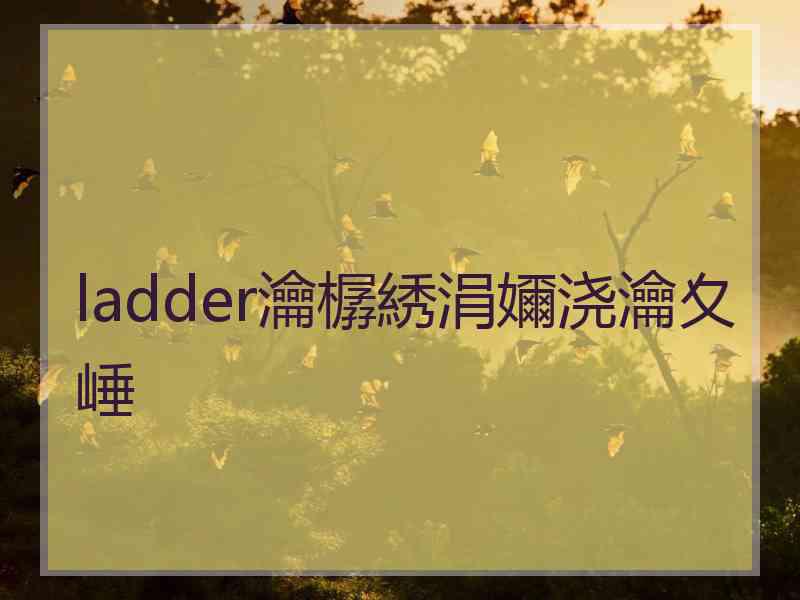 ladder瀹樼綉涓嬭浇瀹夊崜