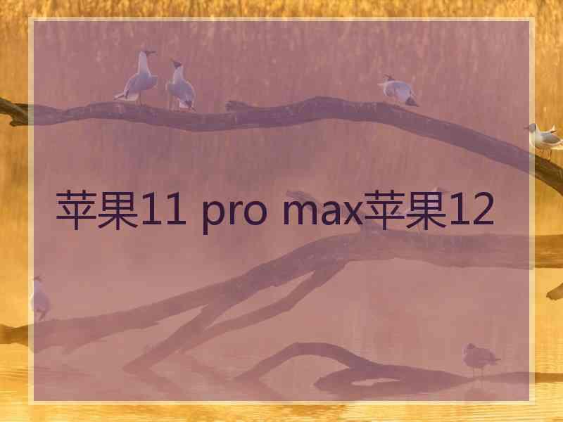 苹果11 pro max苹果12