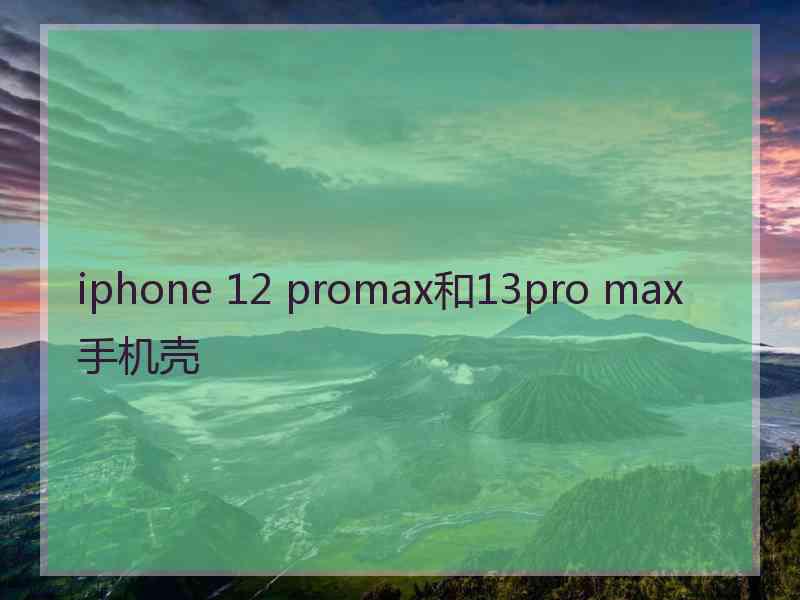 iphone 12 promax和13pro max手机壳