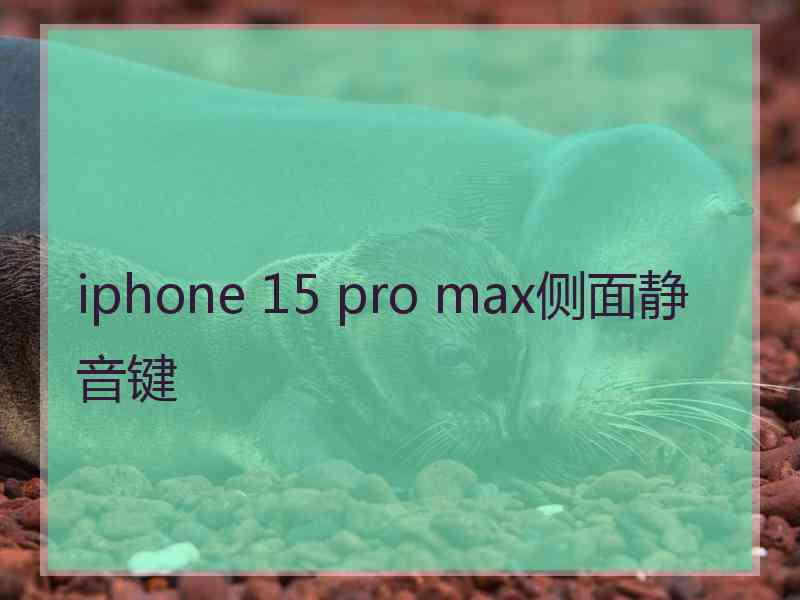 iphone 15 pro max侧面静音键