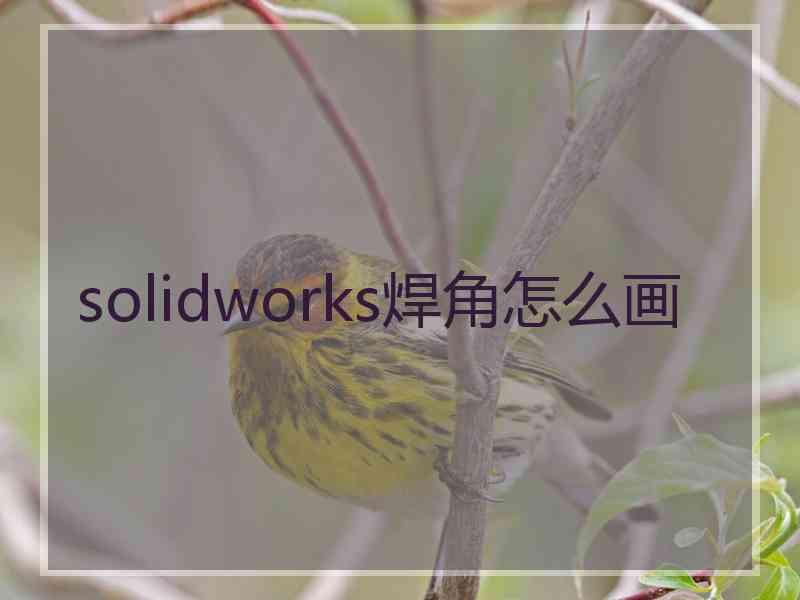 solidworks焊角怎么画