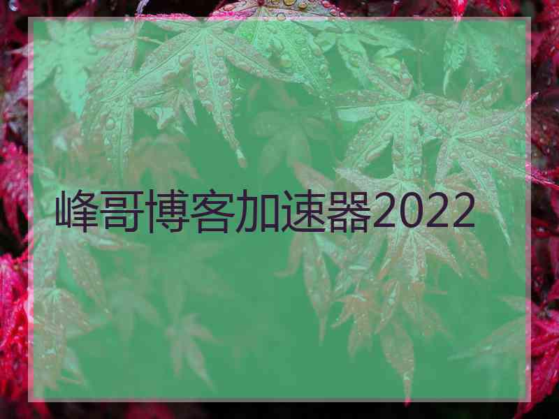 峰哥博客加速器2022