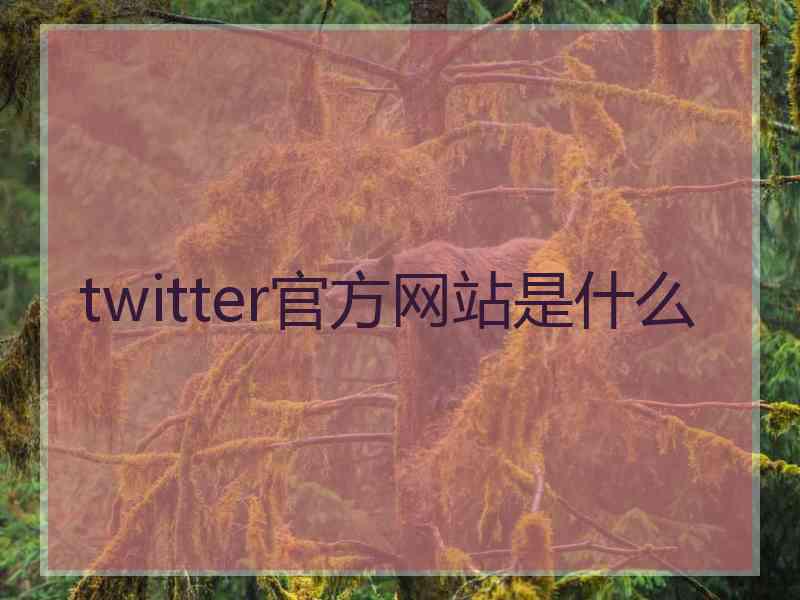 twitter官方网站是什么