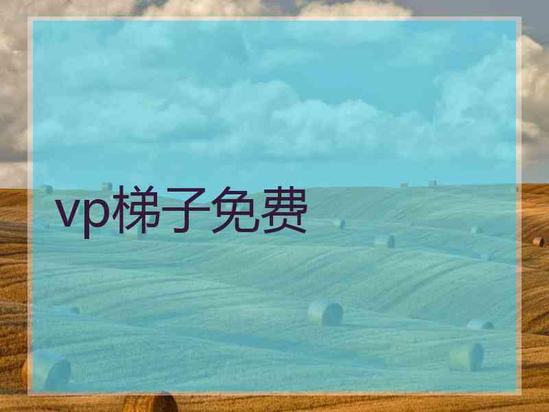 vp梯子免费