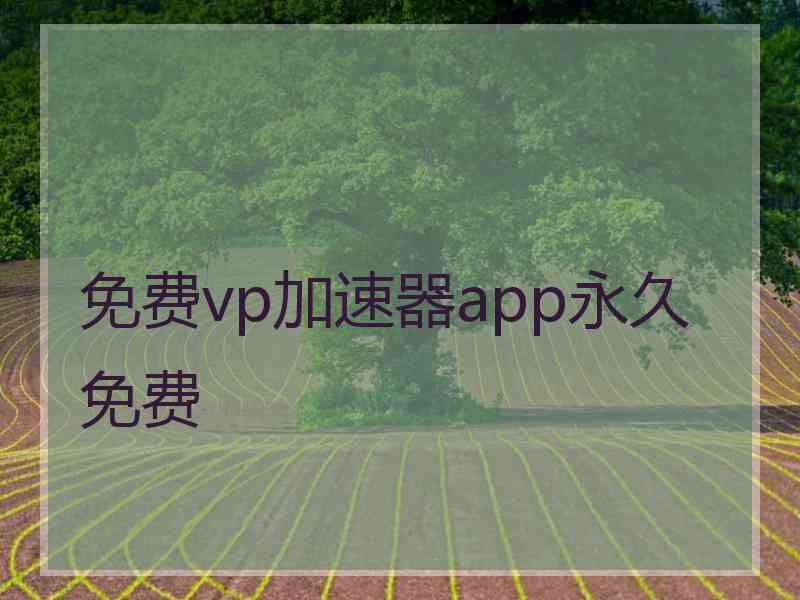 免费vp加速器app永久免费