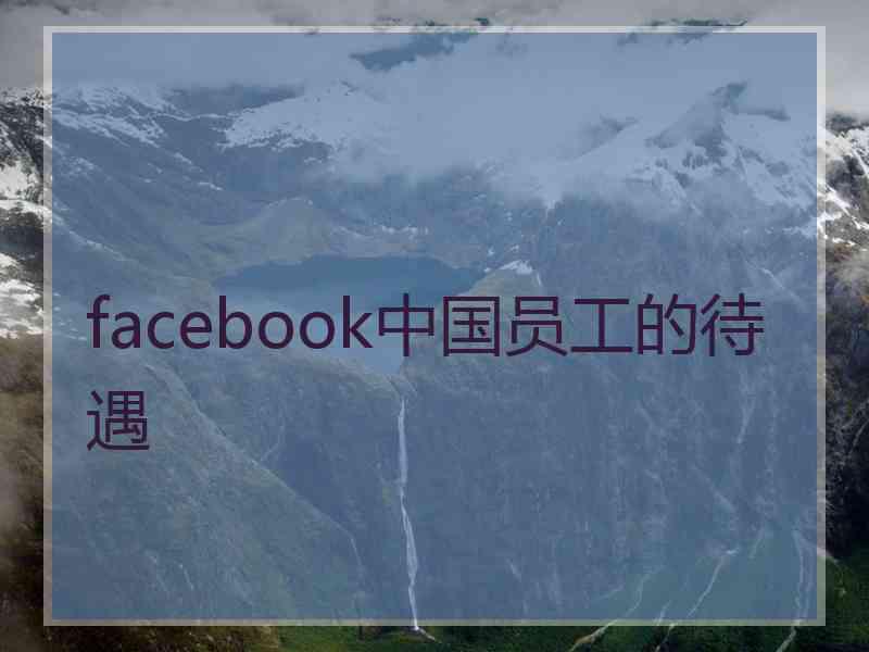 facebook中国员工的待遇