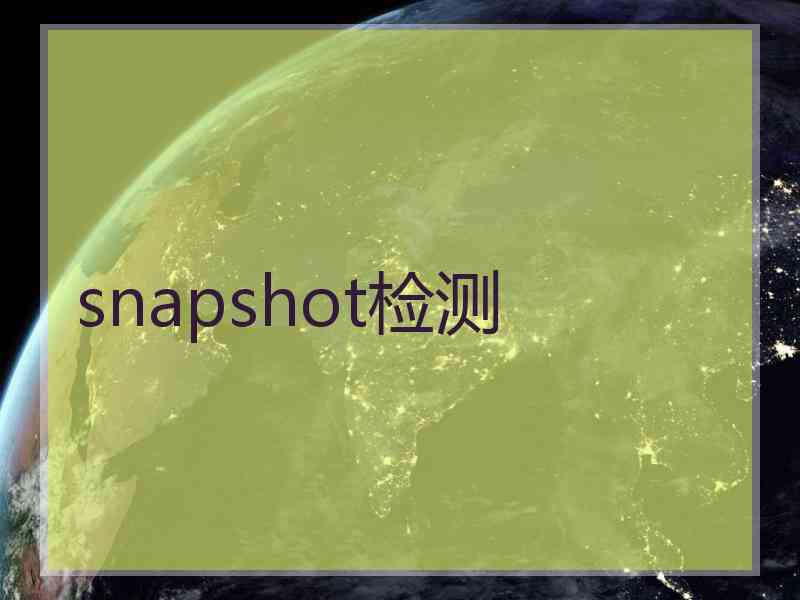 snapshot检测