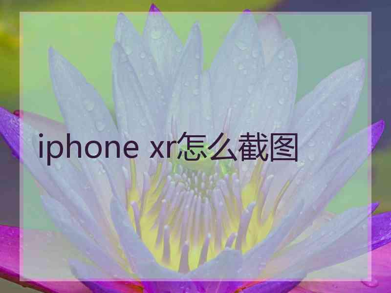 iphone xr怎么截图