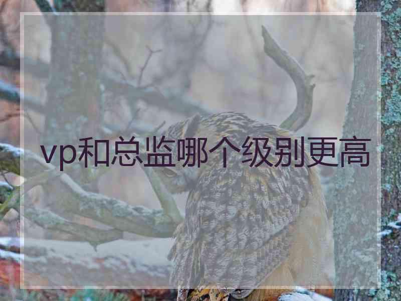 vp和总监哪个级别更高