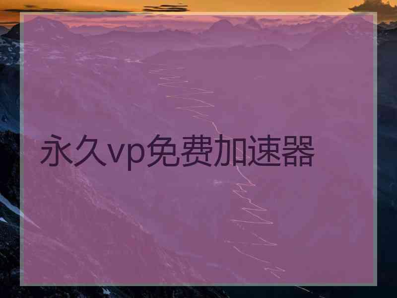 永久vp免费加速器