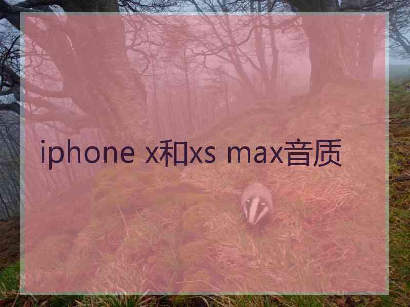 iphone x和xs max音质