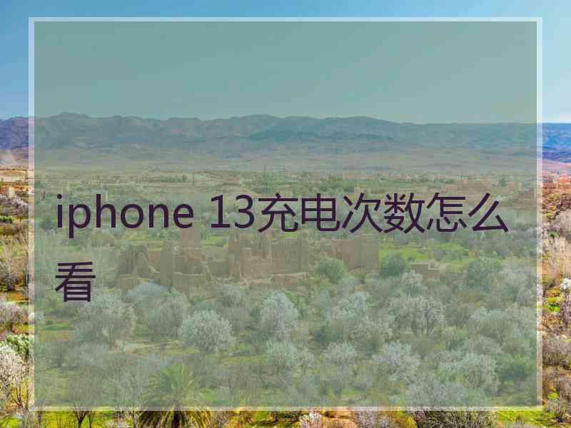 iphone 13充电次数怎么看