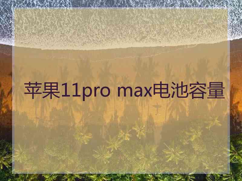 苹果11pro max电池容量