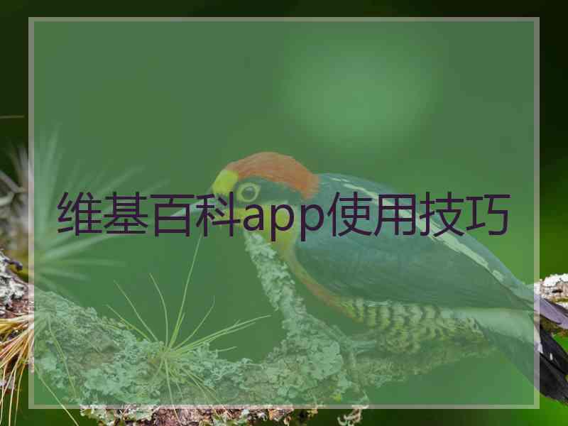 维基百科app使用技巧