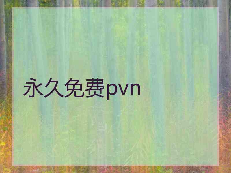 永久免费pvn