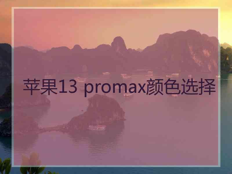 苹果13 promax颜色选择