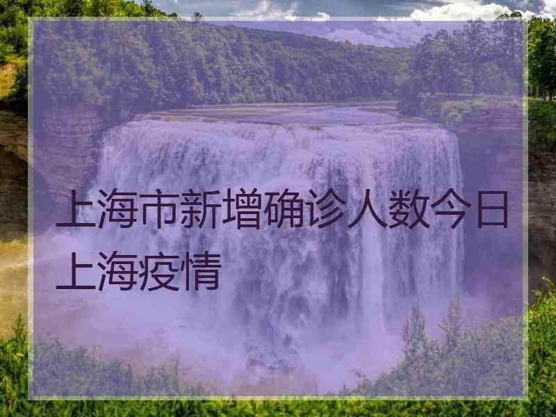 上海市新增确诊人数今日上海疫情