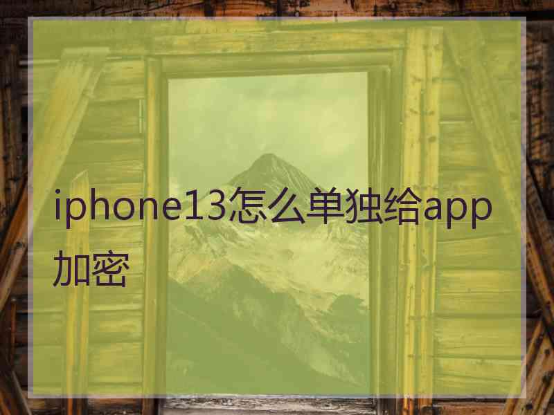 iphone13怎么单独给app加密