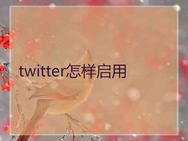 twitter怎样启用