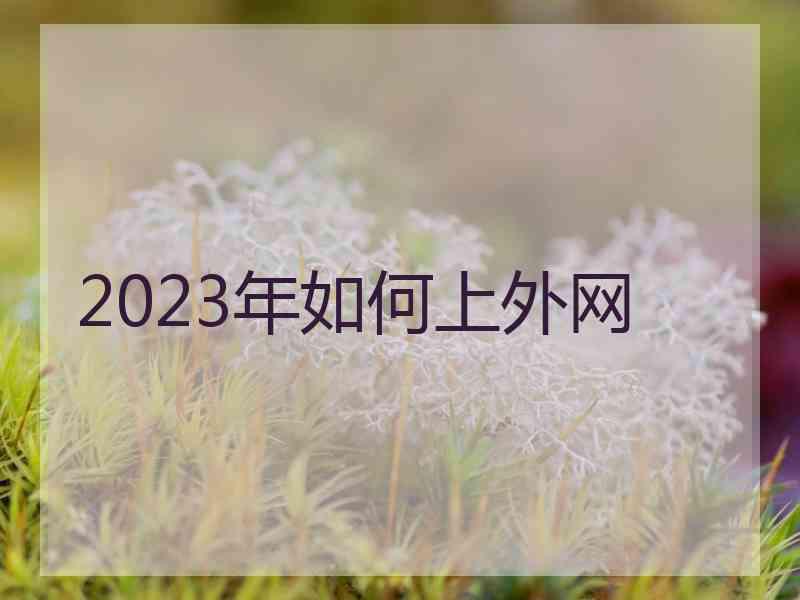 2023年如何上外网