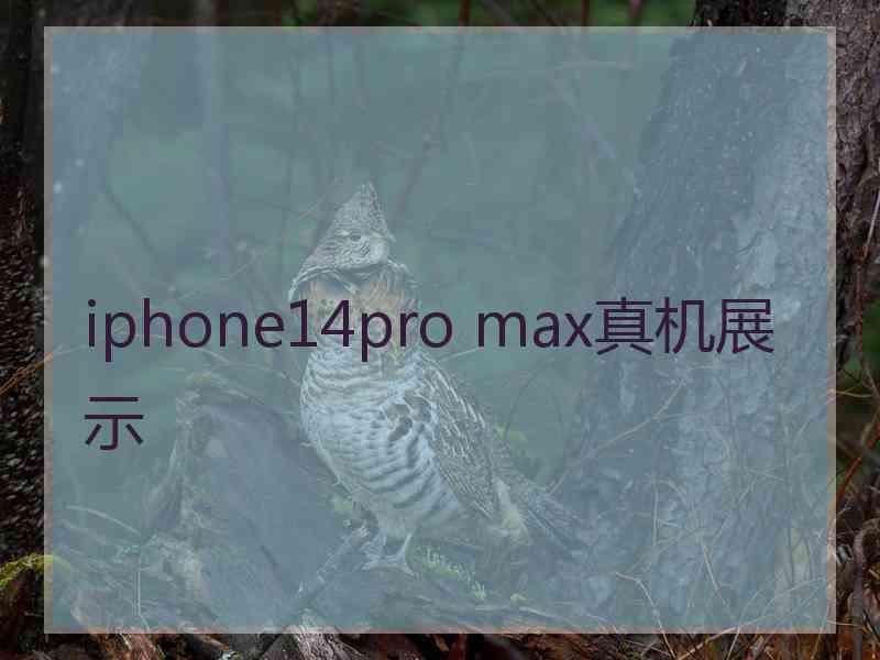 iphone14pro max真机展示