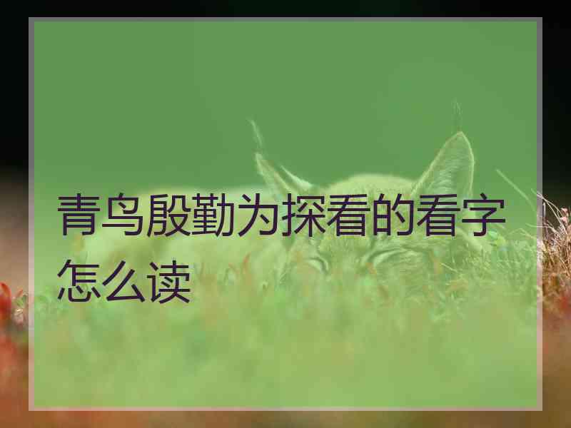 青鸟殷勤为探看的看字怎么读