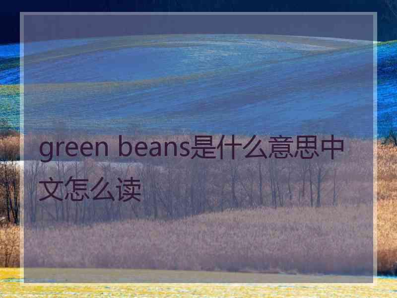 green beans是什么意思中文怎么读