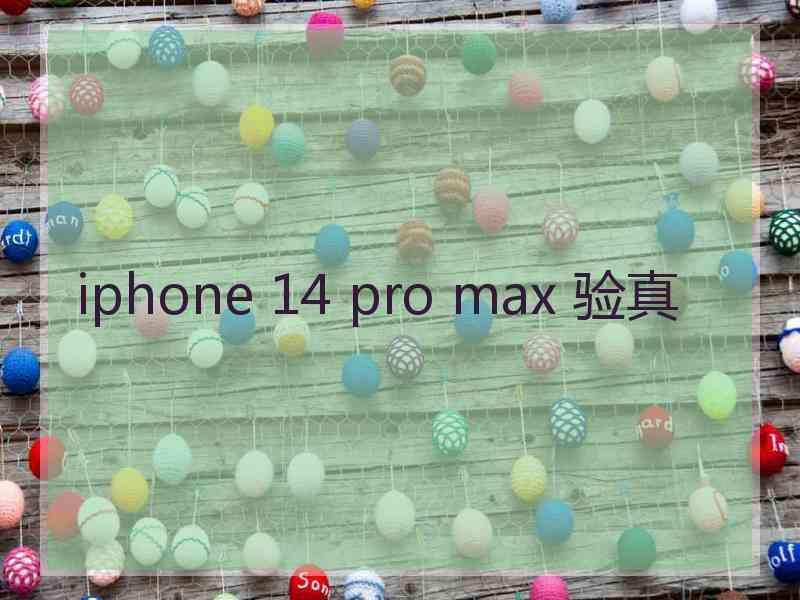 iphone 14 pro max 验真