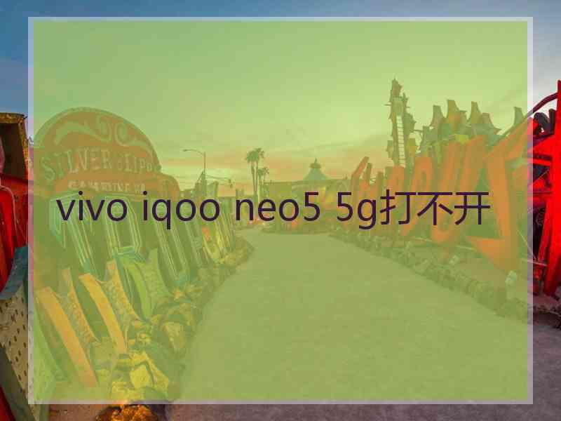 vivo iqoo neo5 5g打不开