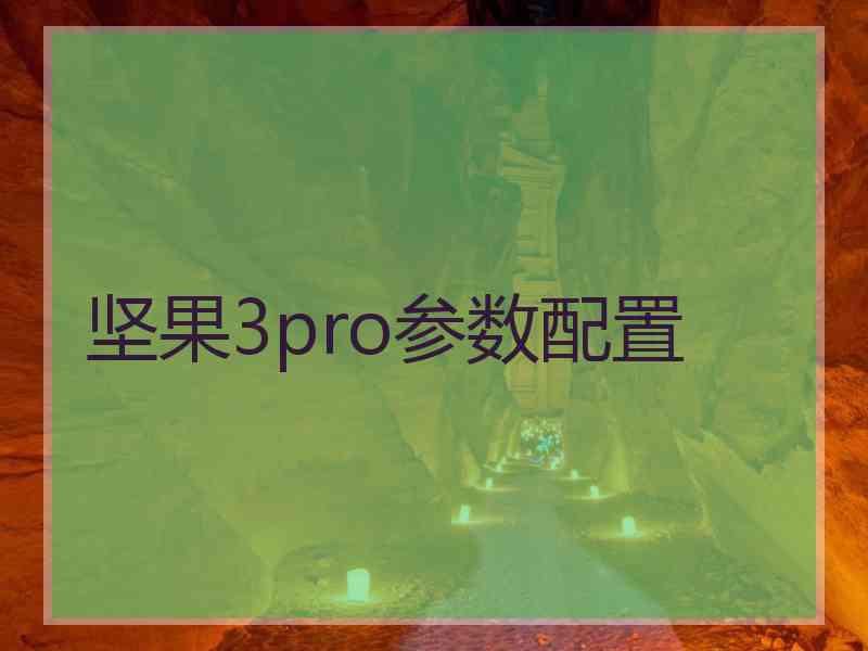 坚果3pro参数配置