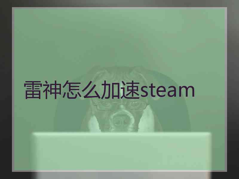 雷神怎么加速steam