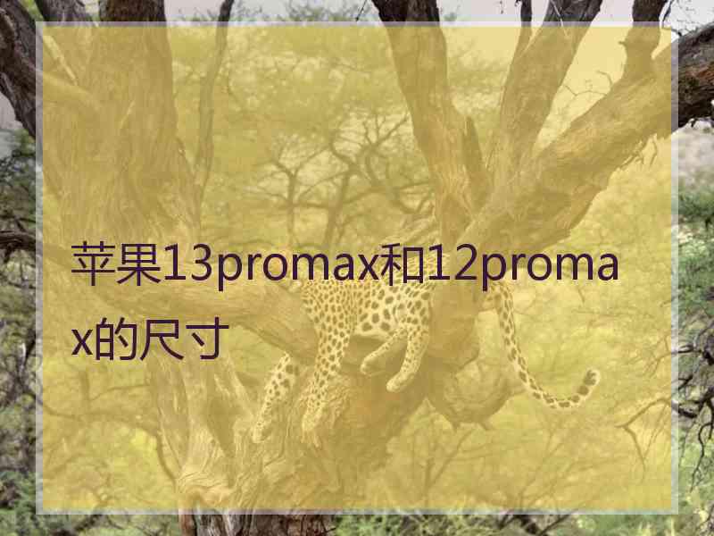 苹果13promax和12promax的尺寸