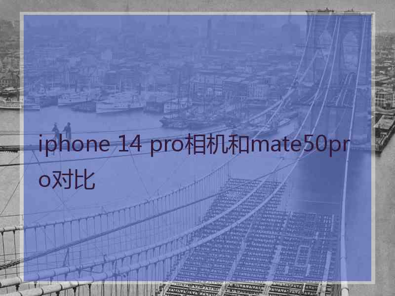 iphone 14 pro相机和mate50pro对比