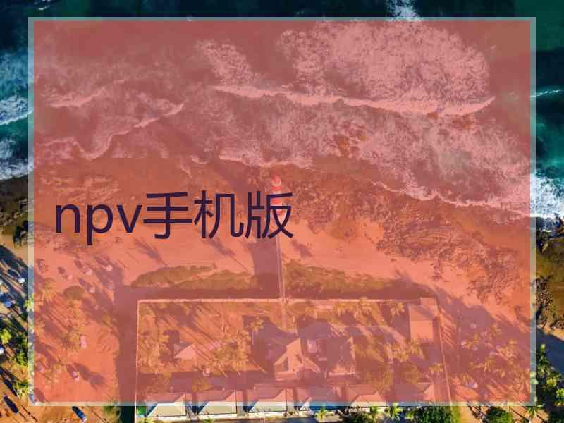 npv手机版